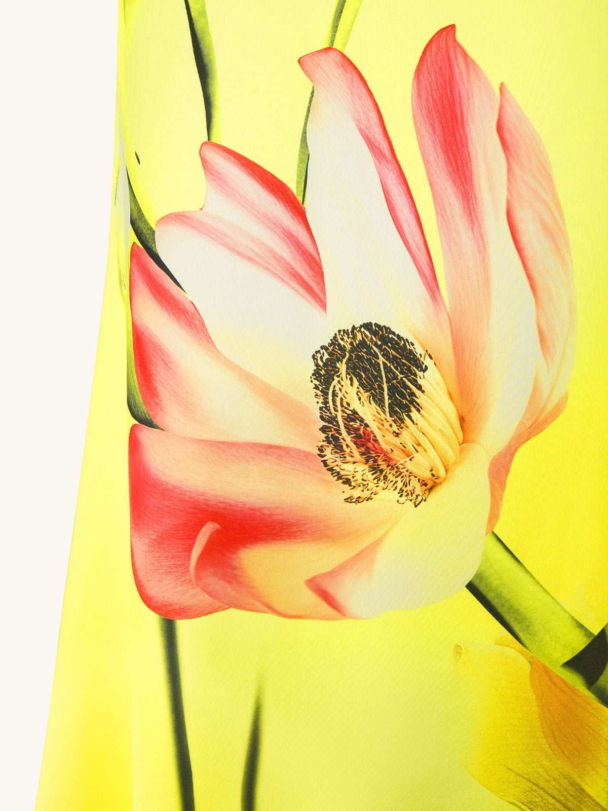 Floral Satin Halter Dress - Yellow/Pink | JW PEI