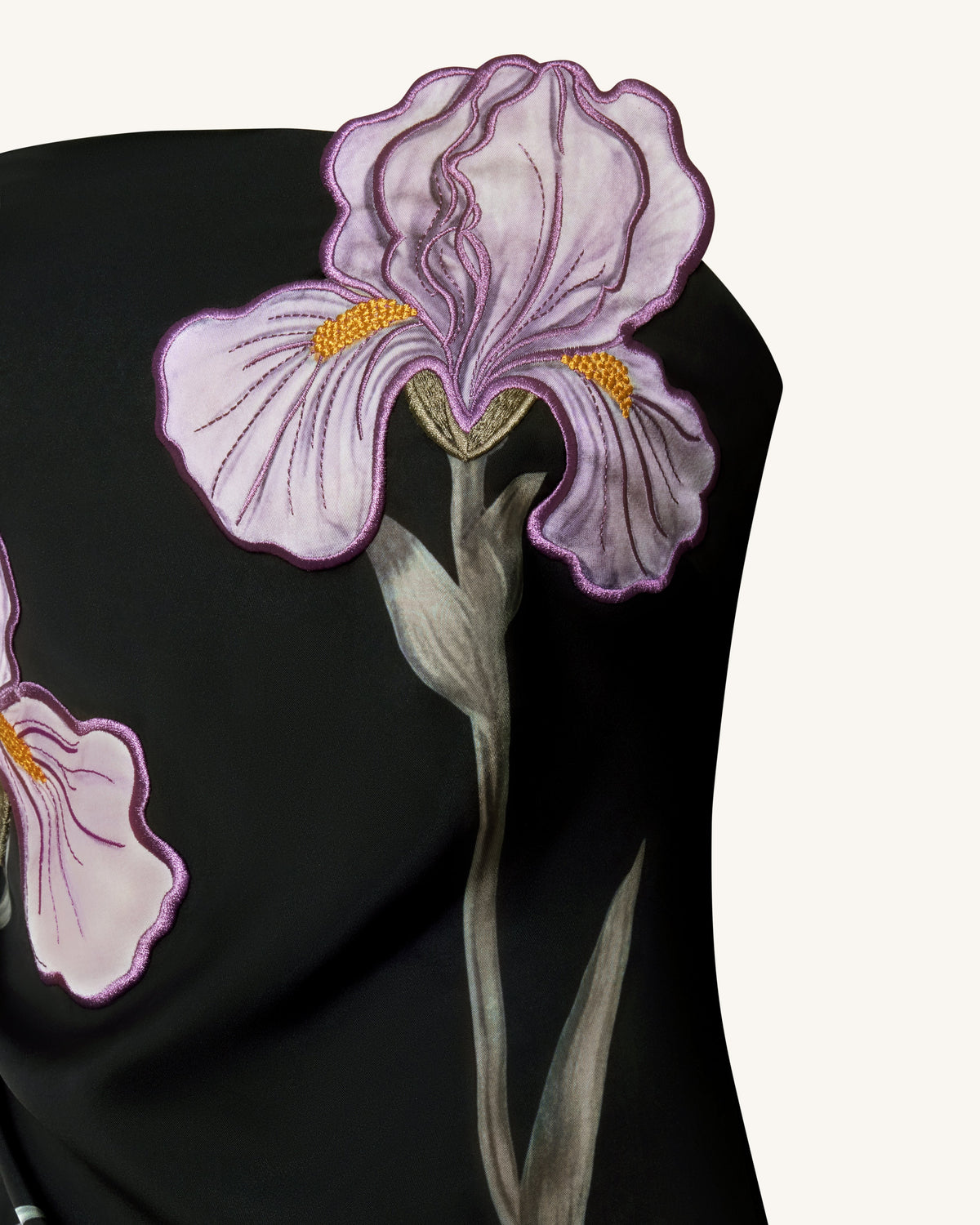 Iris Floral-Appliqué Strapless Maxi Dress - Black | JW PEI