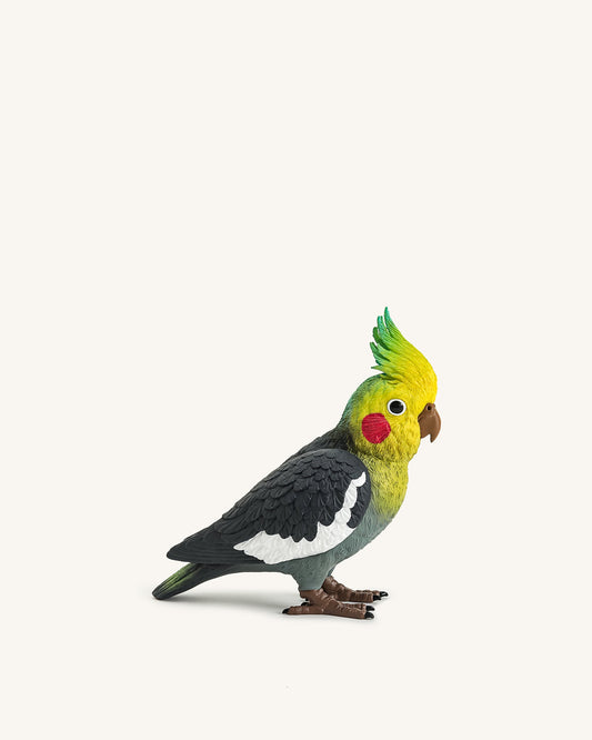 Gray Cockatiel Clutch Bag - Multicolor | JW PEI