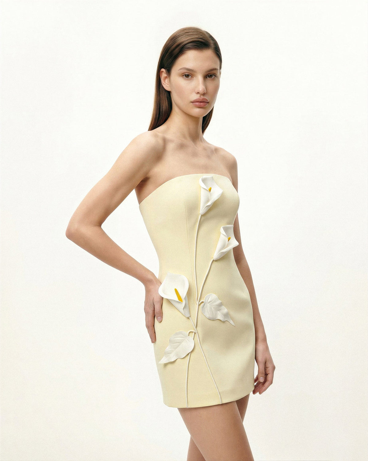 Strapless Floral Appliqué Dress - Yellow | JW PEI