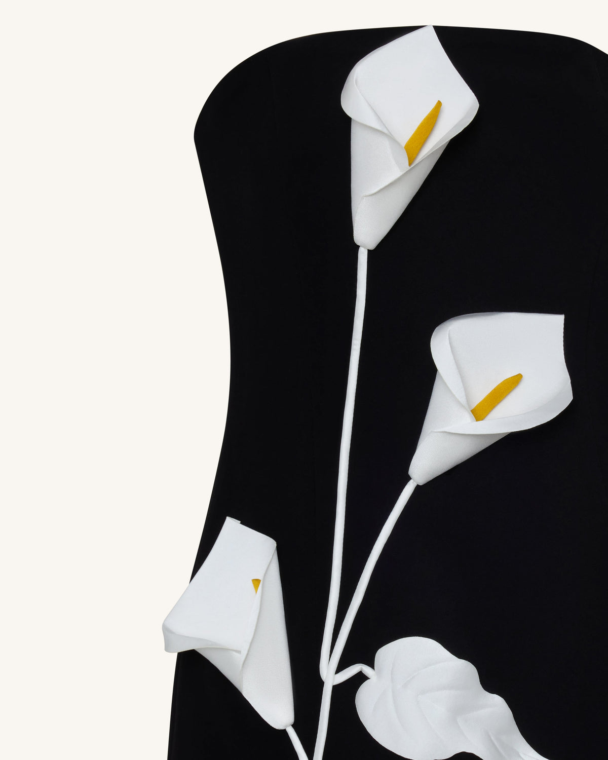Strapless Floral Appliqué Dress - Black | JW PEI