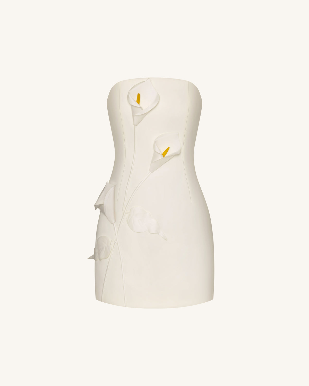 Strapless Floral Appliqué Dress - White | JW PEI