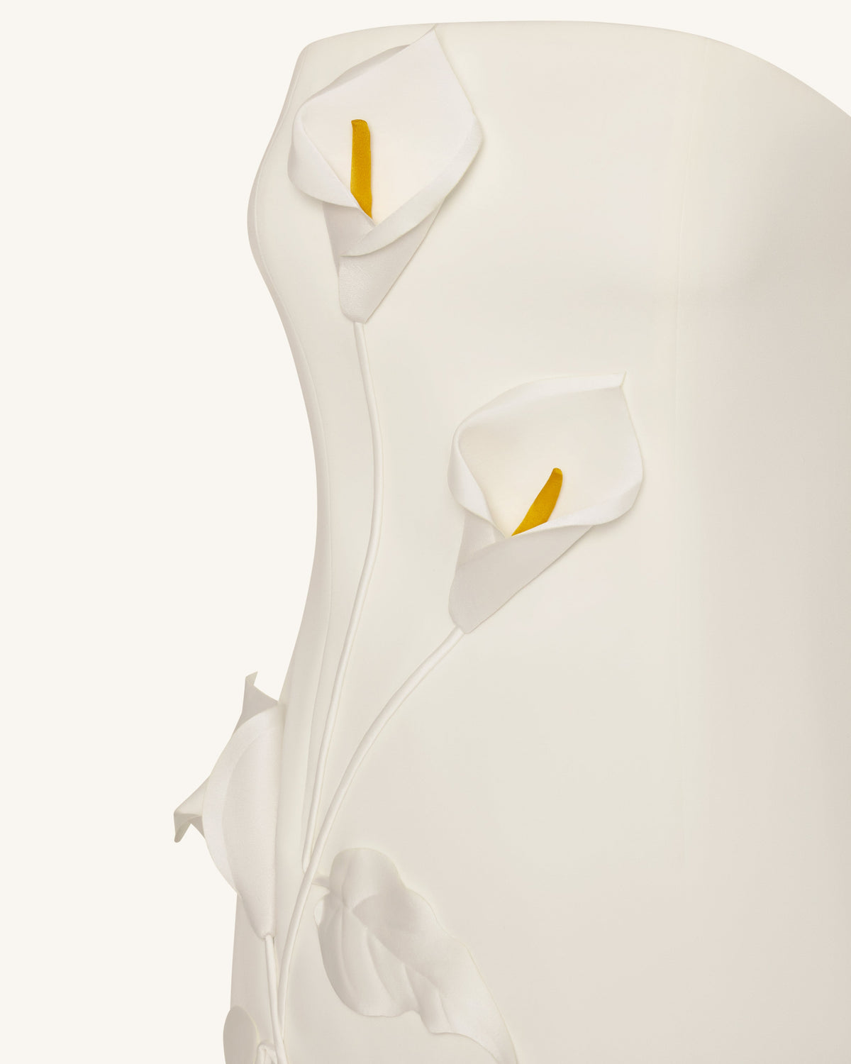 Strapless Floral Appliqué Dress - White | JW PEI