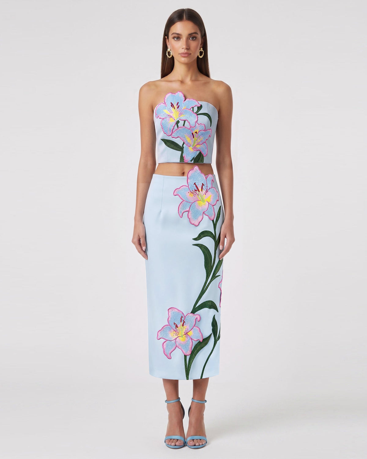 Lily Floral Embroidered Strapless Corset Top - Light Blue | JW PEI